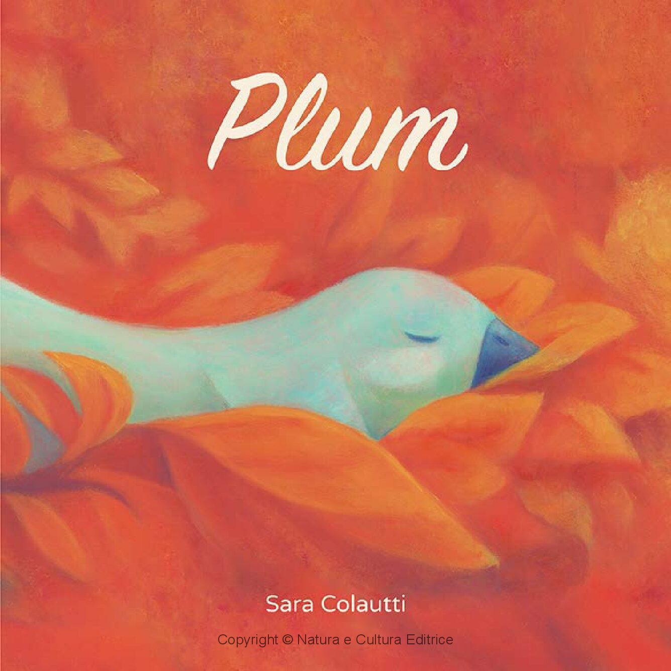 Plum - immagine 3